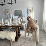 Cream Holi-2301 Washable Area Rug