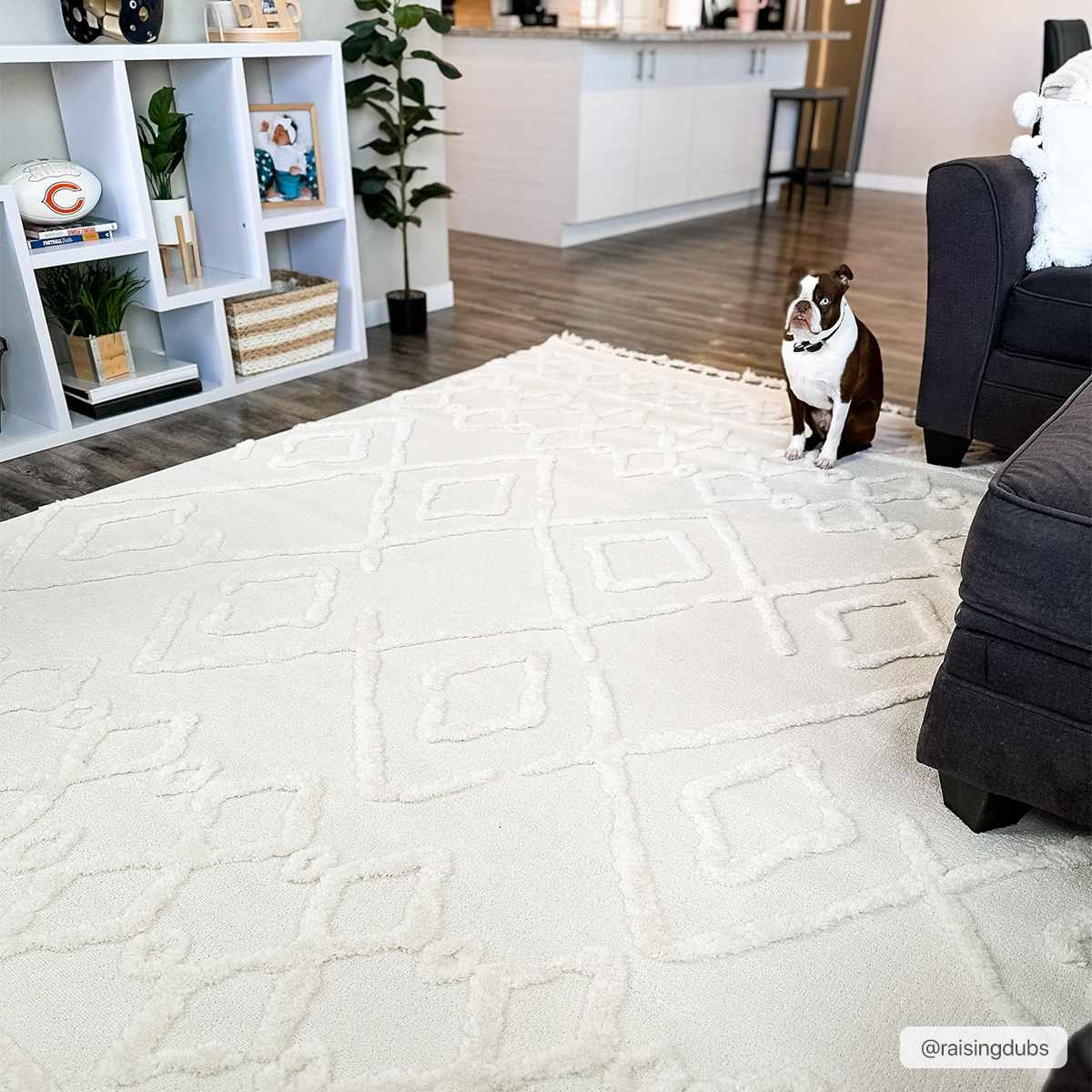 Roomscene-Rectangle