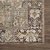 Close-up of Neyland Sage Green Area Rug showcasing its traditional, oriental pattern and colors on a dark wood floor. Swatch