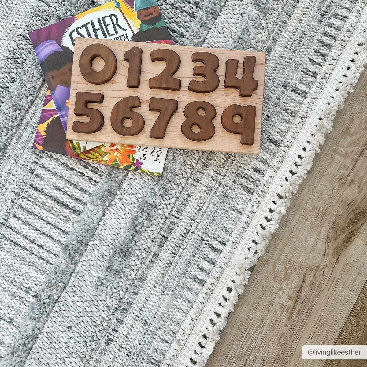 Close-up of the gray and white textured Silanga Area Rug with a fringe border, styled with books and a wooden number puzzle. Roomscene-Rectangle