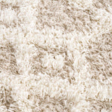 Texture
