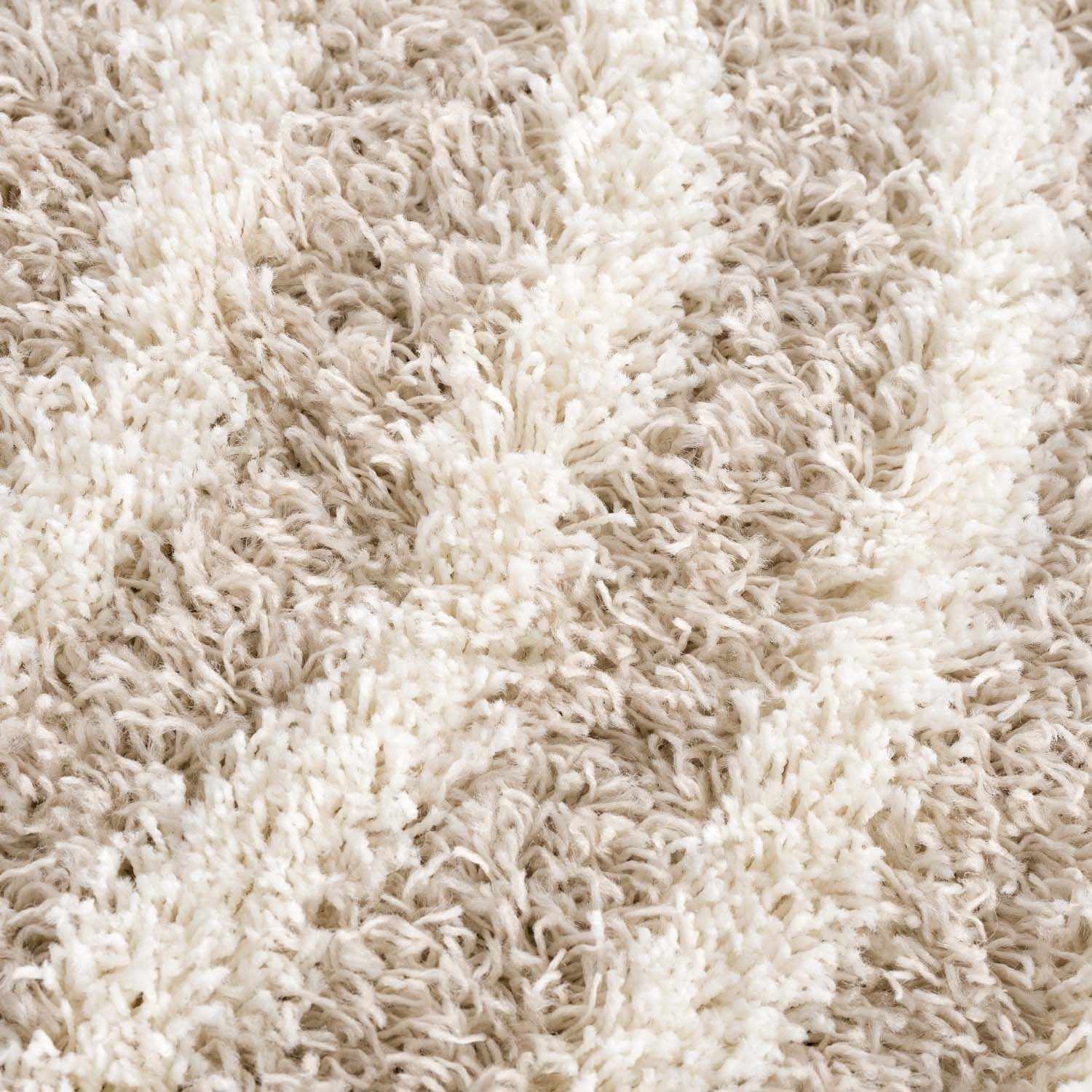 Close-up of the Emmly Shag Area Rug showing its plush pile, white thatch and nutmeg colors, and soft texture. Texture