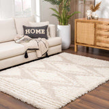 Living room scene with a cream sofa and the ivory Igor Shag Area Rug on a wood floor. Roomscene-Rectangle