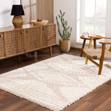 Living room scene with a light peach Igor Shag Area Rug, wood furniture, and a cactus, creating a warm, inviting mood. Roomscene-Rectangle