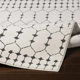 Chubbuck Moroccan Trellis Rug - Clearance
