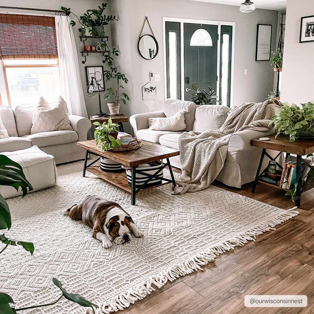 Living room scene with a neutral Ryne Area Rug, white sofas, wood accents, and a bulldog lounging on the rug. Roomscene-Rectangle
