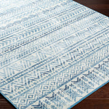 Ianna Washable Area Rug - Clearance