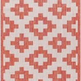 Arwa Area Carpet - Clearance