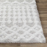 Close-up of the Vernonburg Shag Area Rug. Light gray and white shag rug with a subtle geometric pattern on a wood floor. Front