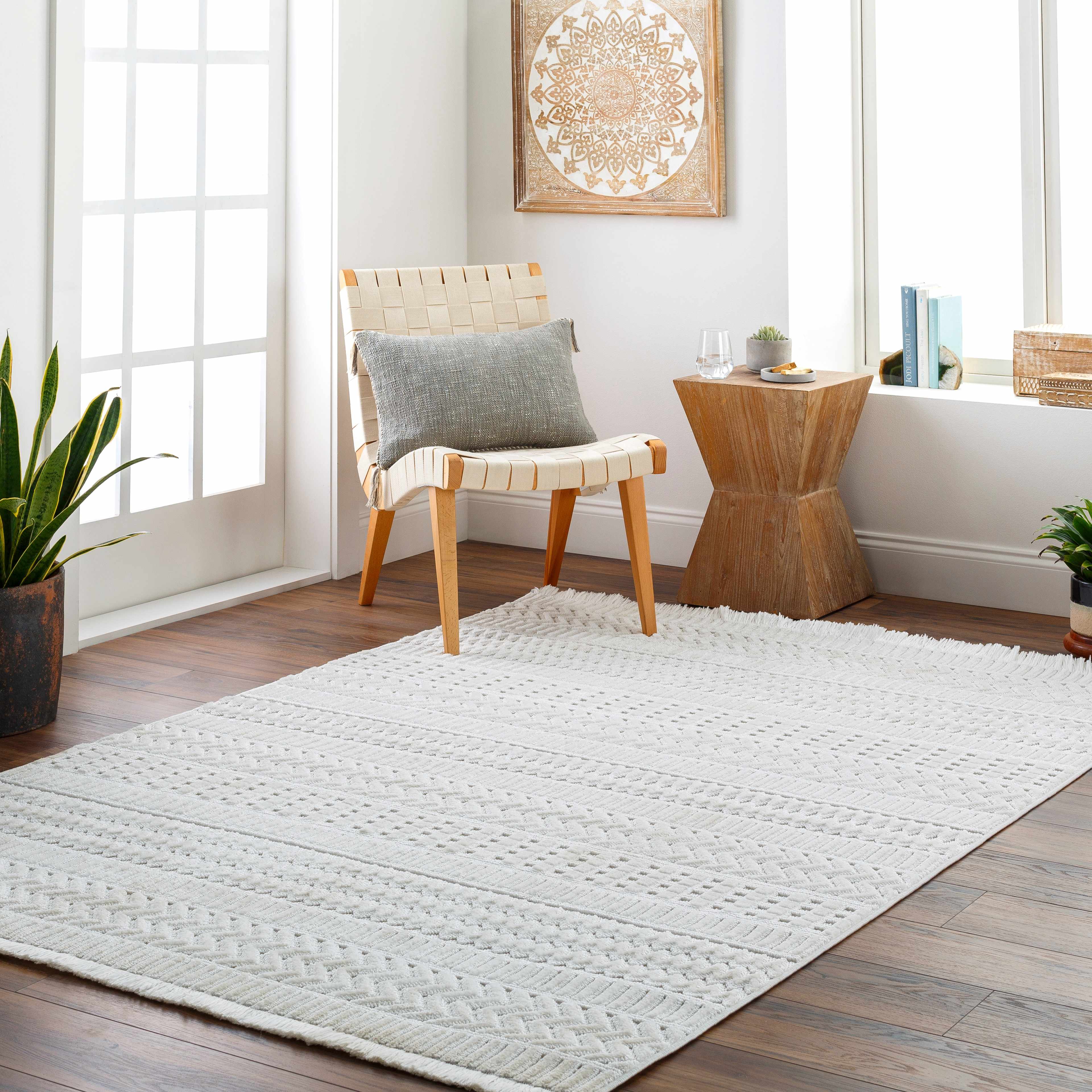 Cira Ivory Textured Area Rug with Fringes – Hauteloom