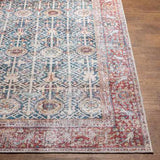 Rust Catadupa Distressed Washable Area Rug - Clearance