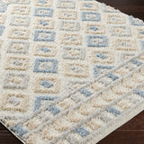 Eivin Pink & Blue Area Rug